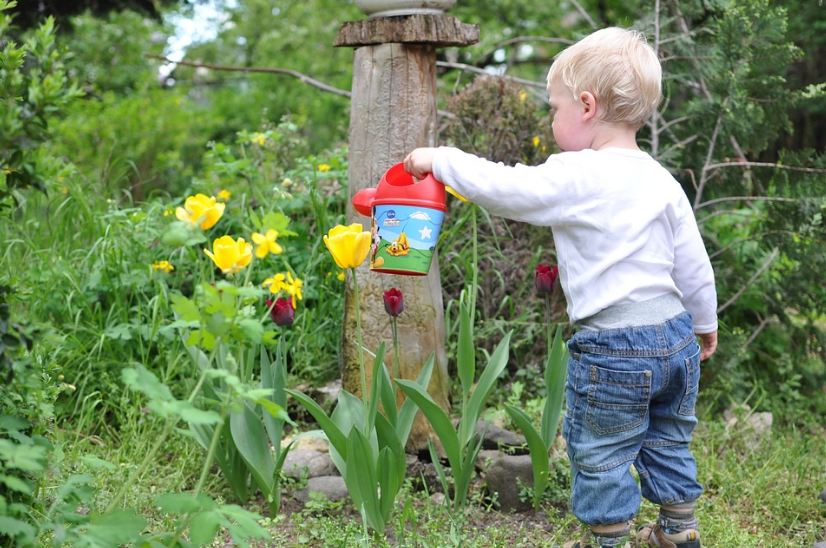 a toddler watering flowers, flowers, plants, garden