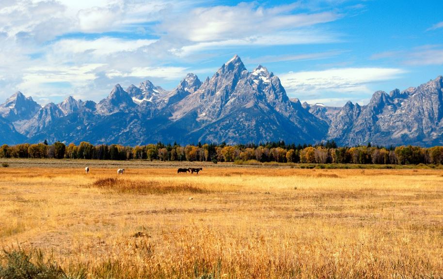 Grand Tetons in the fall