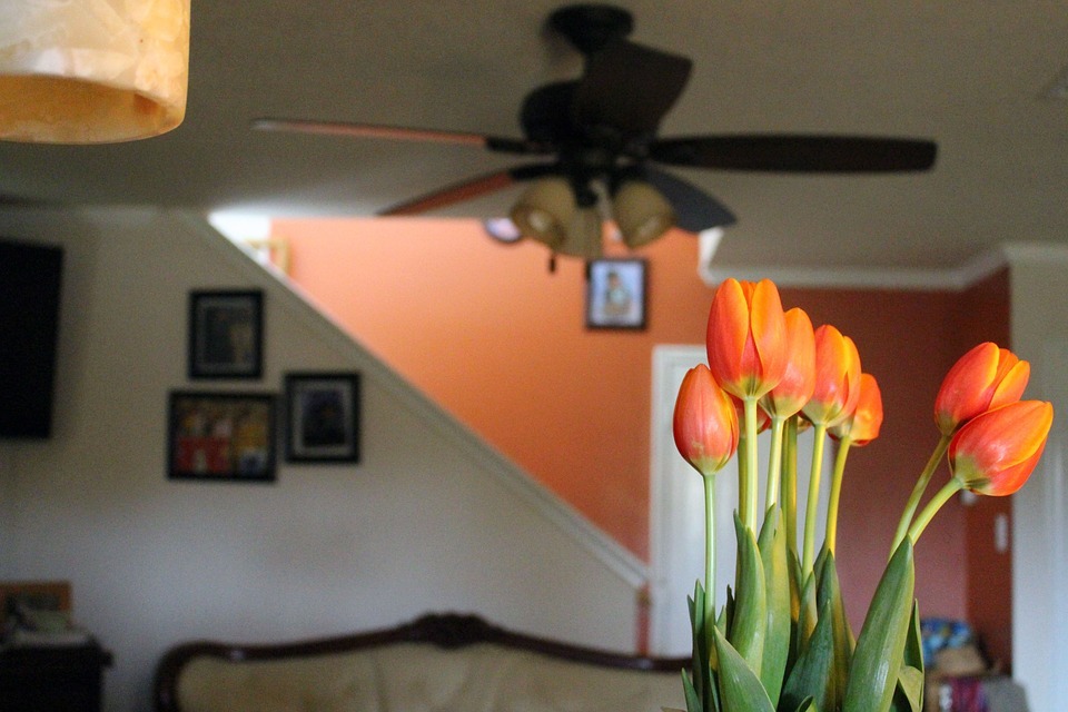 Walls and Decorations with Colors that Pair Well with Orange