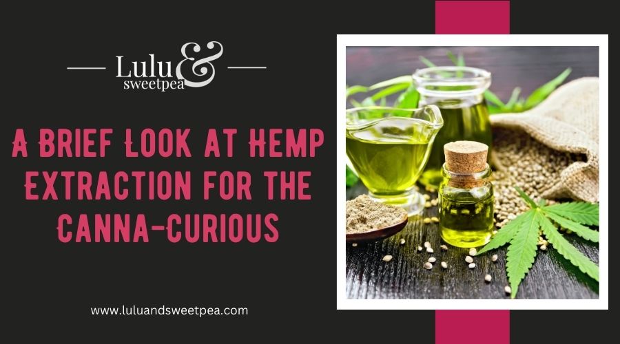A Brief Look at Hemp Extraction for the Canna-Curious