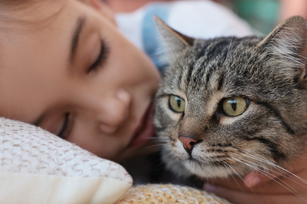 Cute little girl with her cat on bed, closeup. Childhood pet