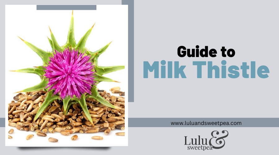 Guide to Milk Thistle