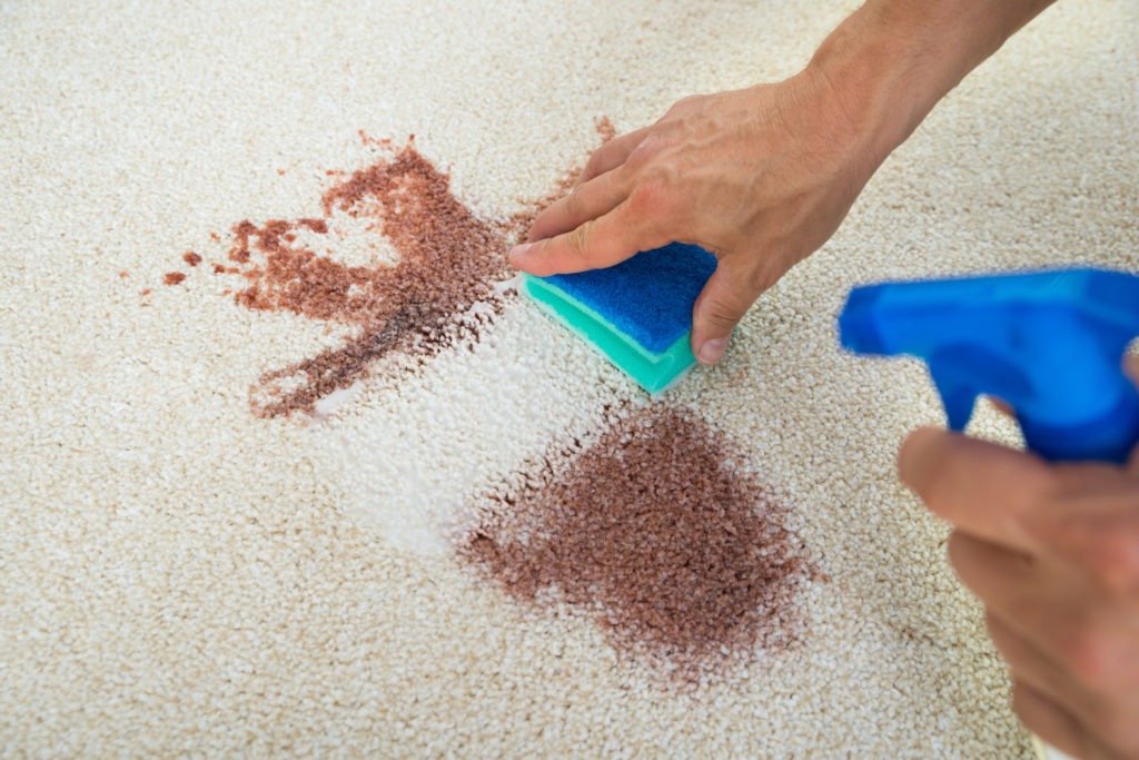 Man-Cleaning-Stain-On-Carpet-With-Sponge.