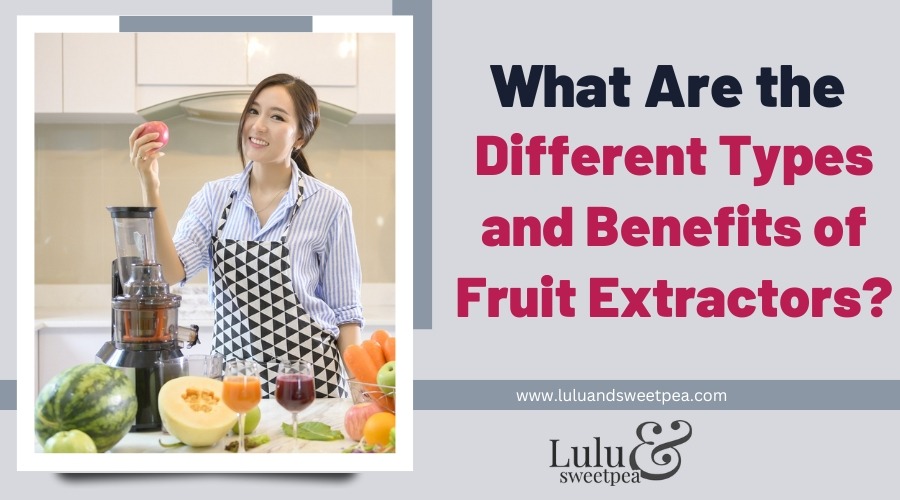 What Are the Different Types and Benefits of Fruit Extractors