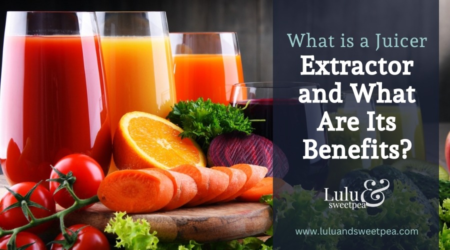 What is a Juicer Extractor and What Are Its Benefits?