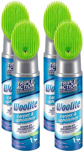 Woolite Stain Remover. 