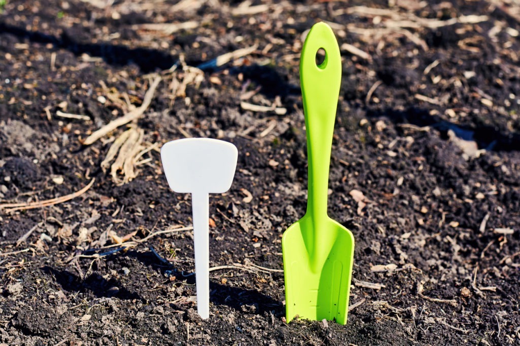 A small green shovel and a blank plant marker sticking out of the ground and turf in a vegetable garden on the backyard