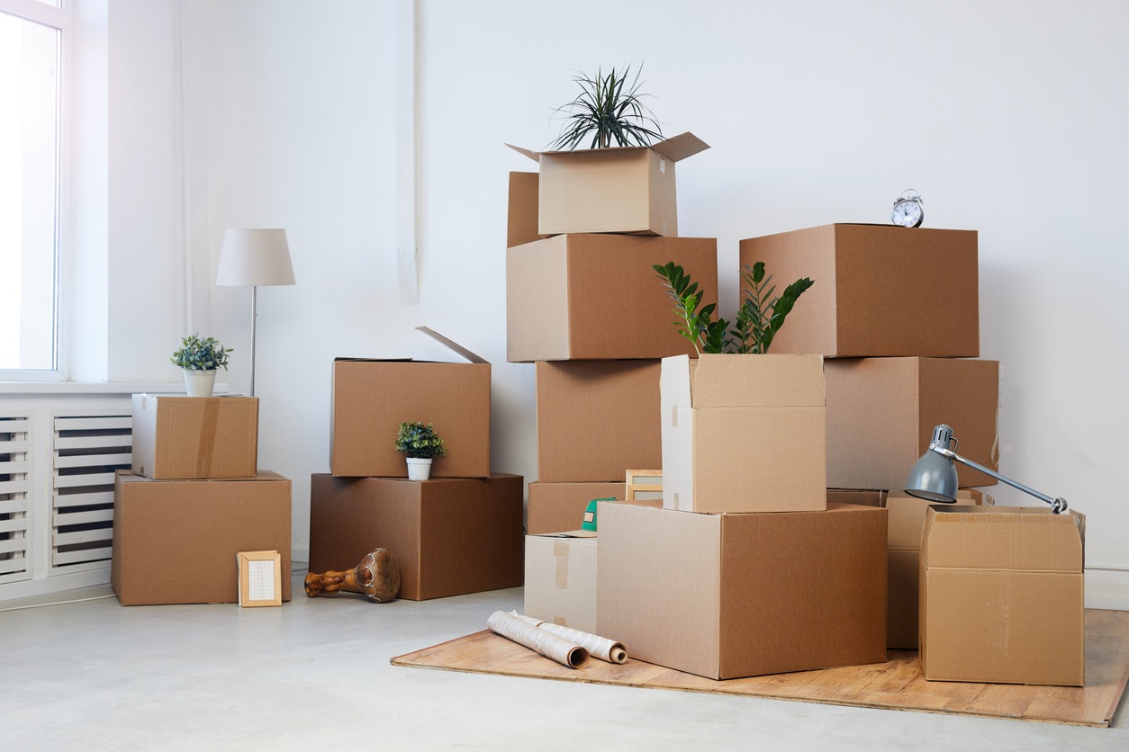 cardboard-boxes-stacked-in-an-empty-room-with-plants-and-personal-belongings-inside