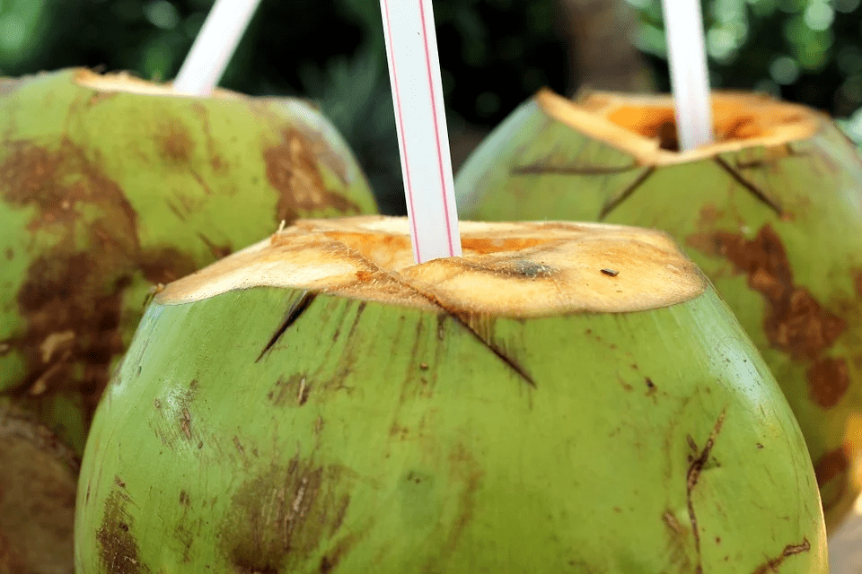 fresh-coconuts-with-straws