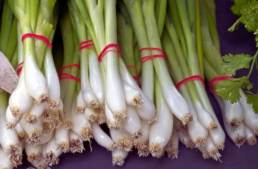 fresh-green-onion-bunches-vegetables