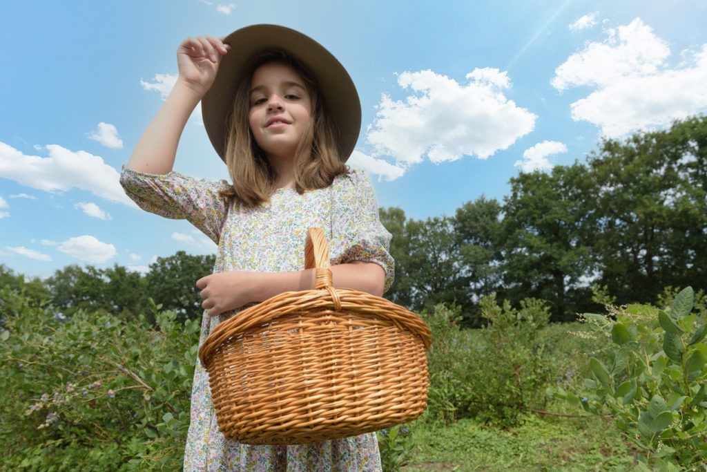A teenage girl in a dress and a wide-brimmed hat picks berries in the forest