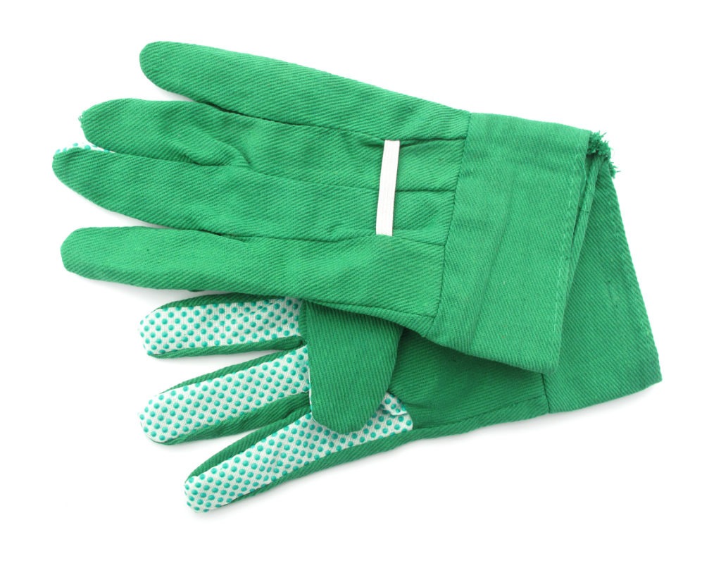 green gardening gloves in white background