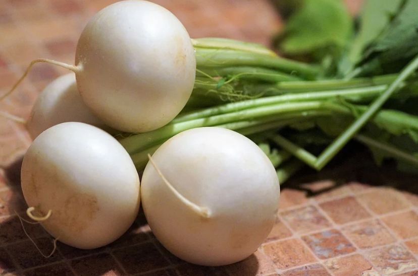 white-radish-turnip-vegetables