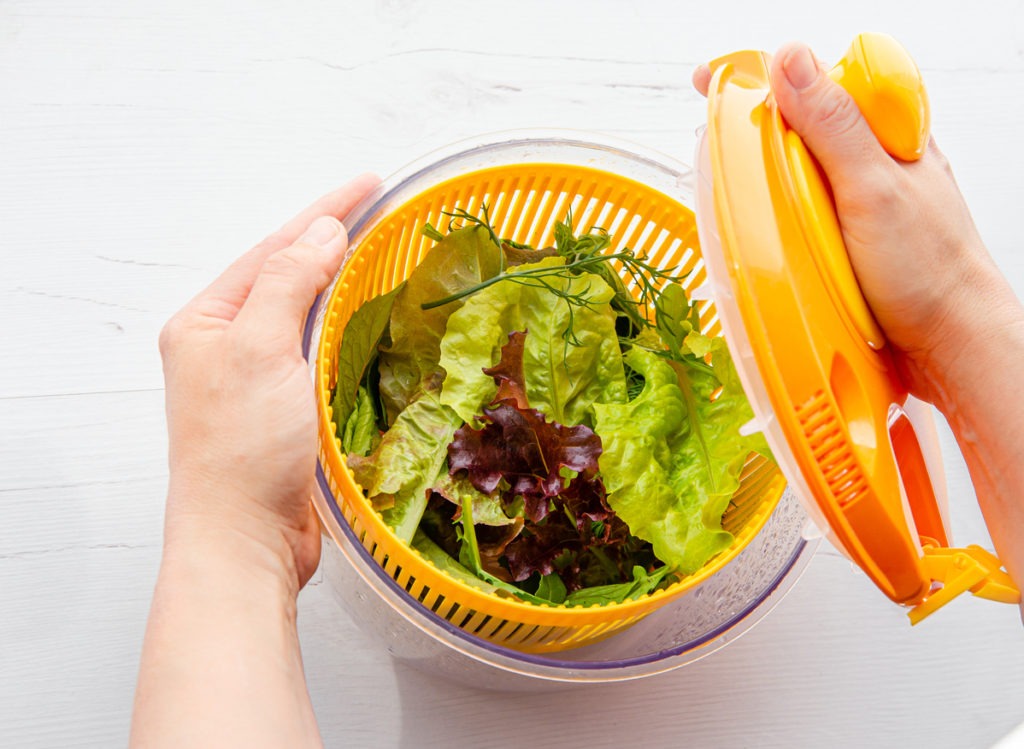 woman hands holding and drying salad in spinner tool bowl, healthy leafy greens inside. Comfortable way for washing and drying salad leaves