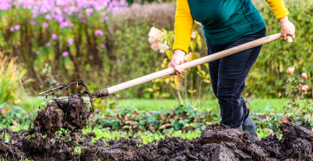 A gardener preparing the soil for planting