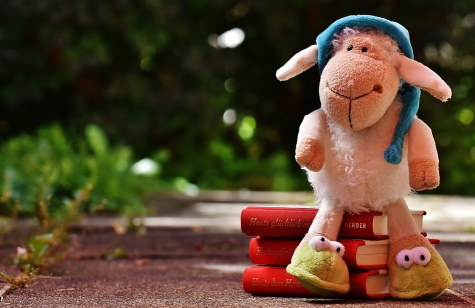 A-stuffed-toy-sheep-sitting-on-books