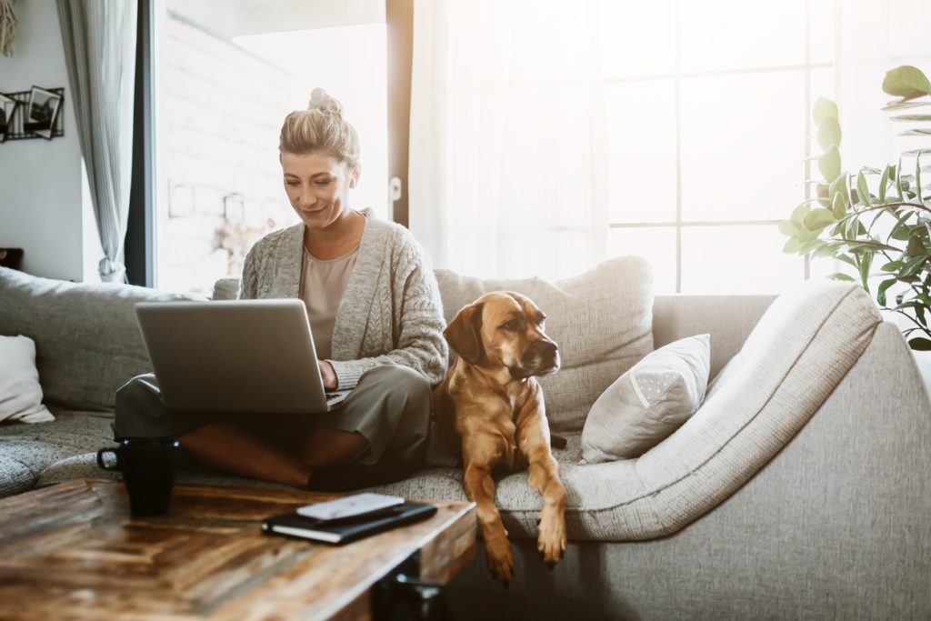 Businesswoman working on laptop computer sitting at home with a dog pet and managing her business via home office