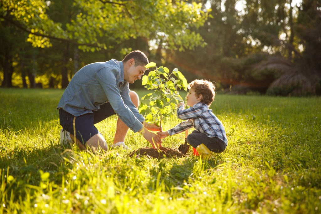Father wearing a gray shirt and shorts and son in checkered shirt and pants planting a tree under the sun