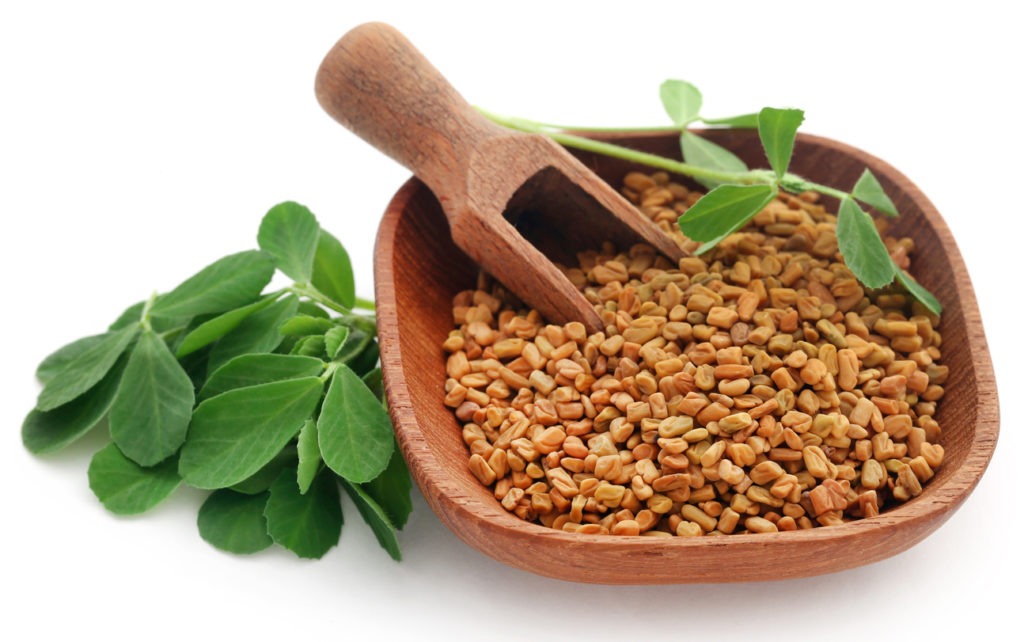 Fenugreek seeds with green leaves