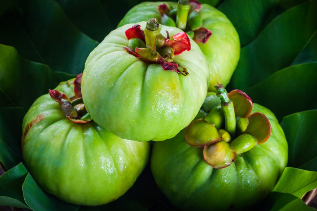 Garcinia cambogia fruits