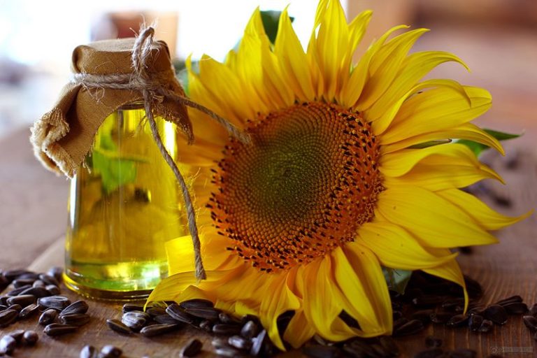 Guide-to-Sunflower-Seed-Oil-768x512