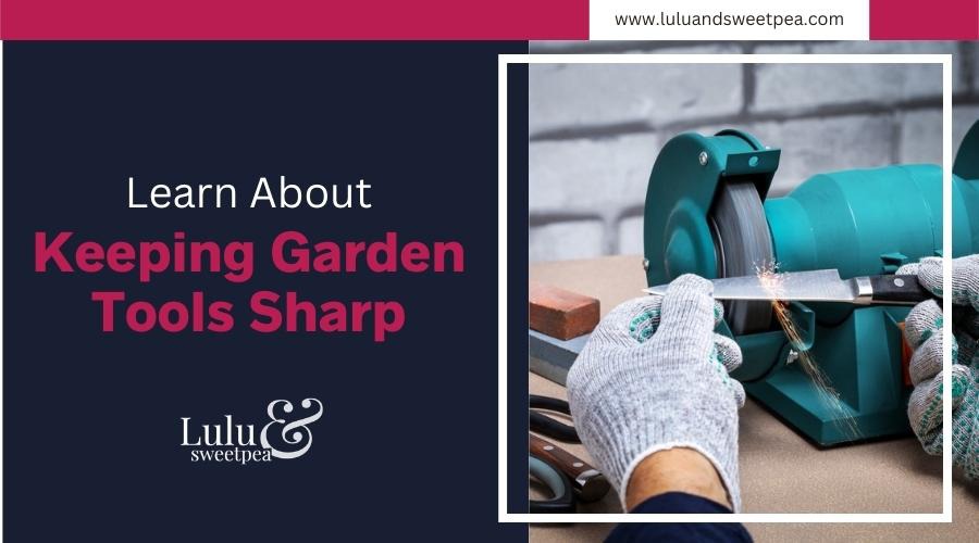 Learn About Keeping Garden Tools Sharp