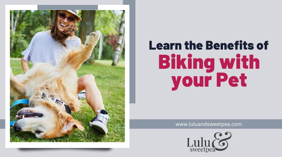 Learn the Benefits of Biking with your Pet