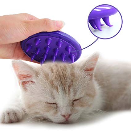Purple-cat-brush-and-a-kitten