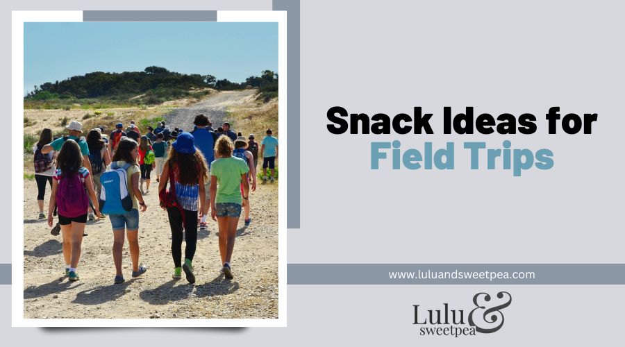 Snack Ideas for Field Trips
