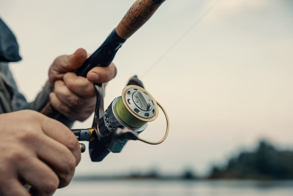 Spin Fishing Rod, Fishing Rod with a Spinning Reel