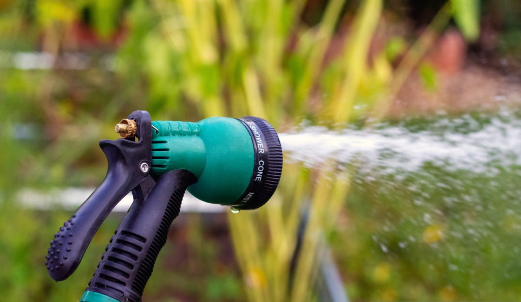 Summer garden watering with a garden hose, adjustable shower, spray