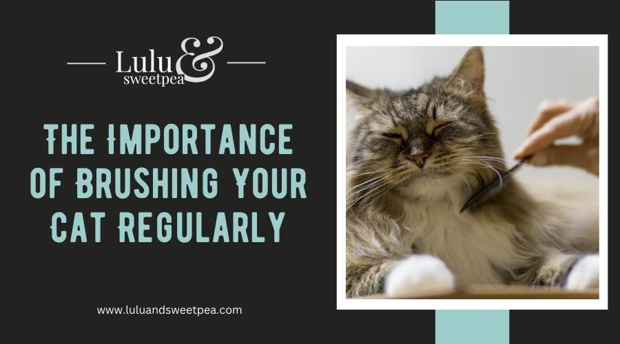 The Importance of Brushing Your Cat Regularly
