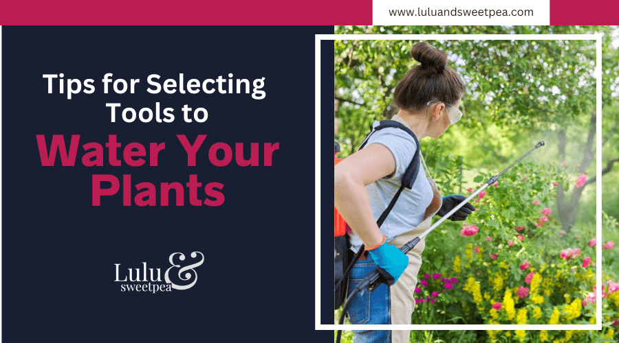 Tips for Selecting Tools to Water Your Plants