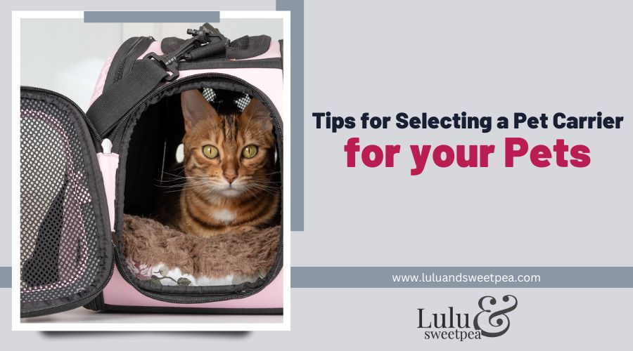 Tips for Selecting a Pet Carrier for your Pets