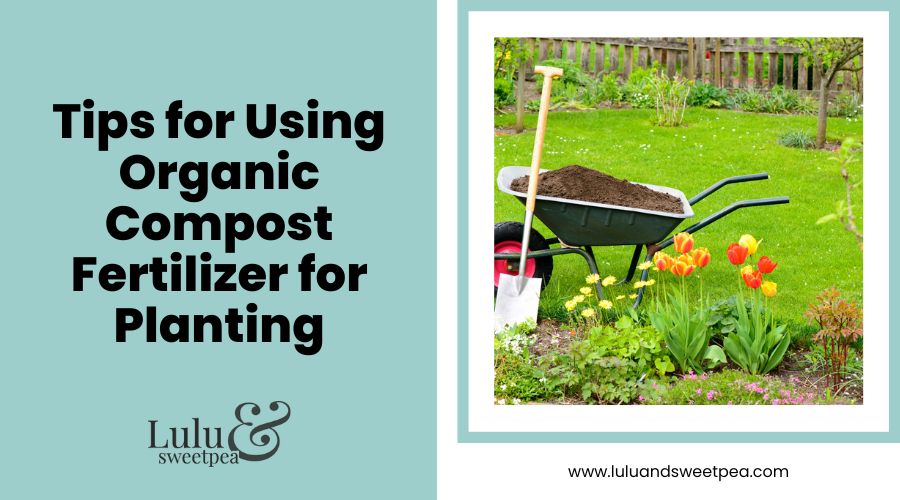 Tips for Using Organic Compost Fertilizer for Planting
