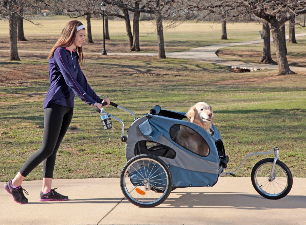 Top-5-Pet-Strollers-for-Dogs-and-Cats-for-2017-1-1