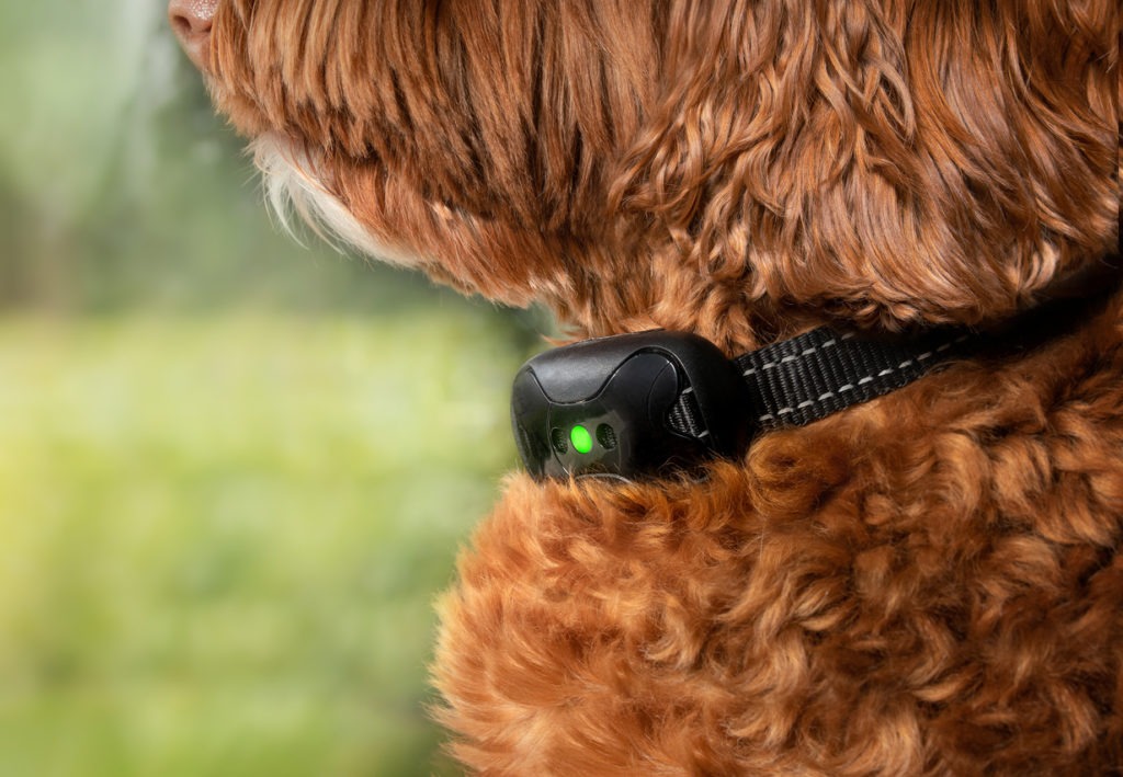 Vibration Bark Collar, Dog with Active Bark Collar