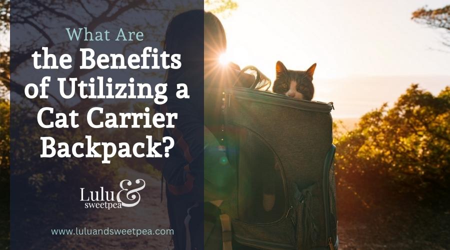 What Are the Benefits of Utilizing a Cat Carrier Backpack