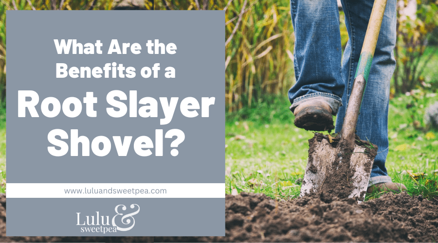 What Are the Benefits of a Root Slayer Shovel
