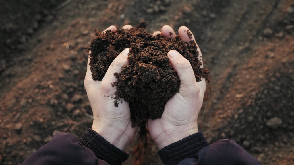 Farmer holding soil in hands close-up
