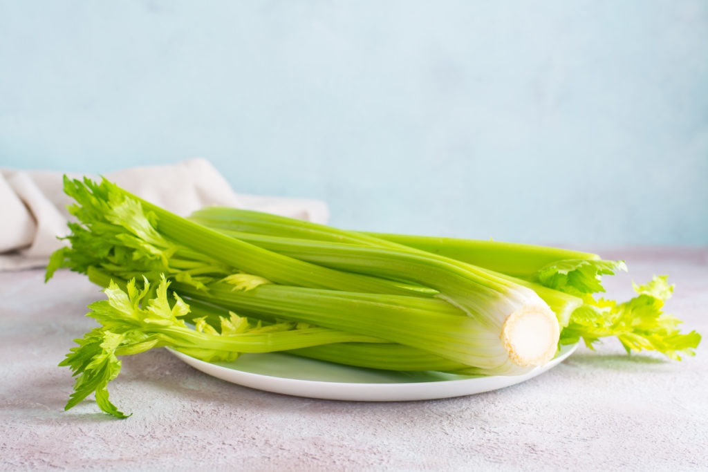 Fresh celery stalk on a plate on the table ready to eat. Vegetarian food