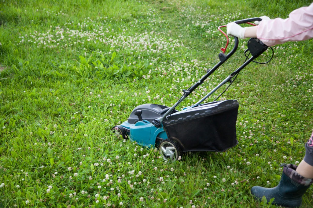 A grass mower moving in the grass