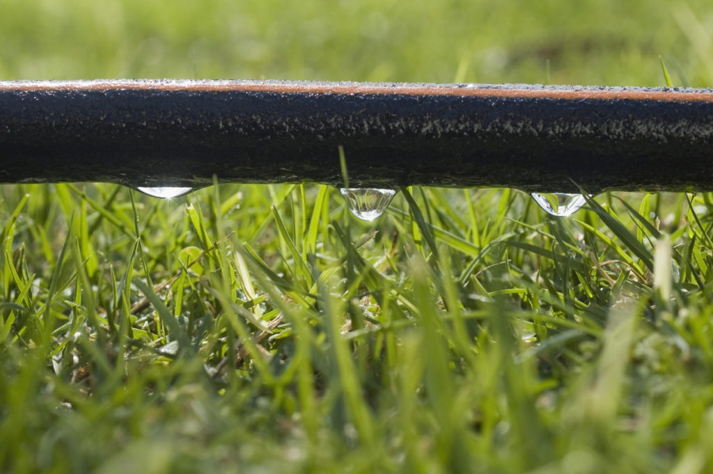 A close-up image of a soaker hose