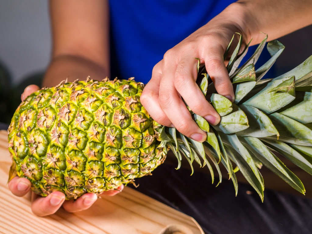 Closeup shot of a person holding a pineapple