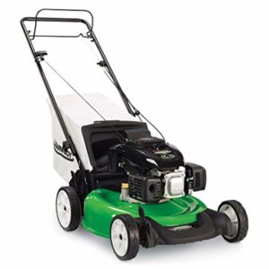 Lawn-Boy-10732-Kohler-XT6-OHV-Rear-Wheel-Drive-Self-Propelled-Gas-Lawn-Mower-300x300