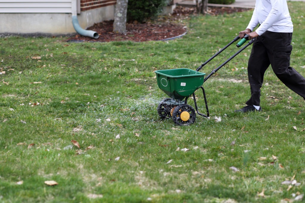 Man using a seed spreader on his lawn