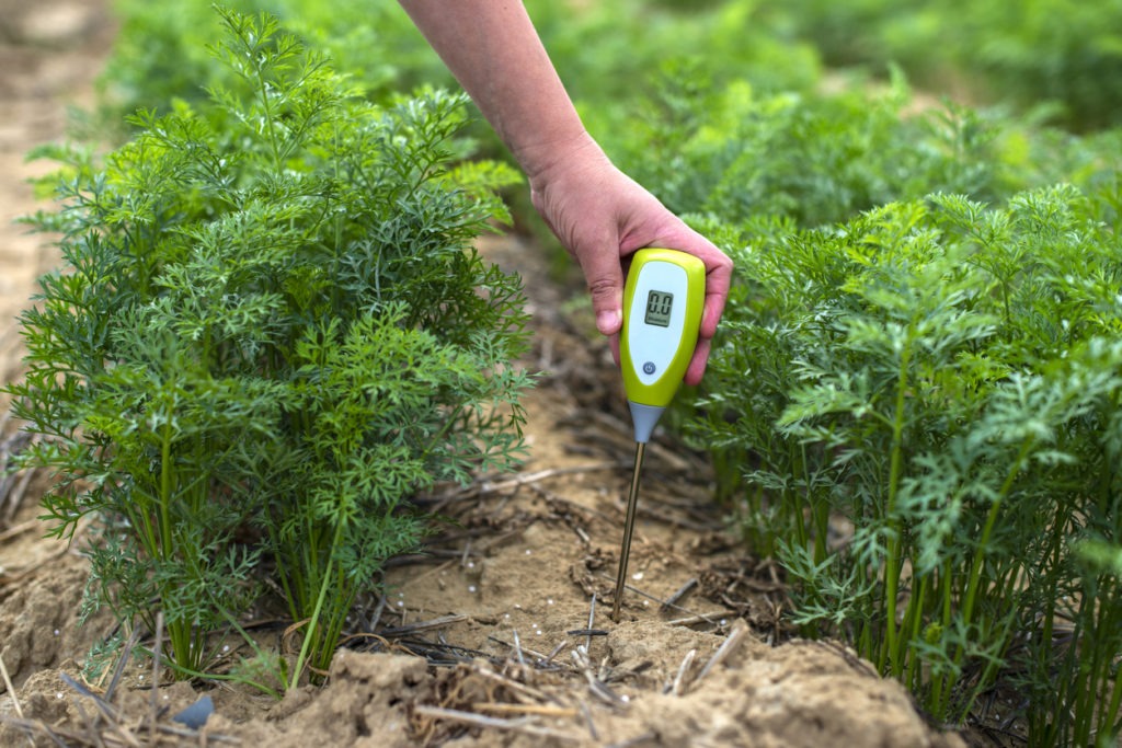Measure soil with digital device. Green plants and woman farmer measure PH and moisture in the soil