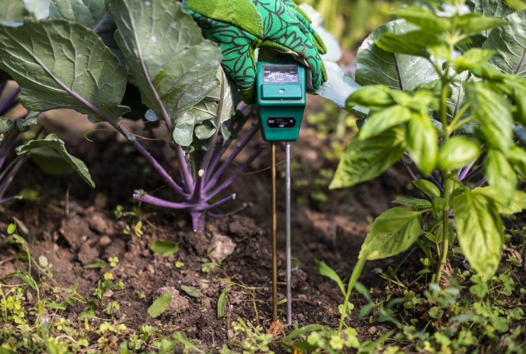 Moisture meter tester in soil. Measure soil for humidity, nitrogen and HP with digital device