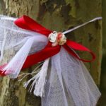 A-gift-ribbon-wrapped-around-a-tree-log