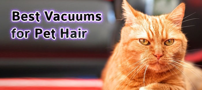 Best-Vacuums-for-Pet-Hair